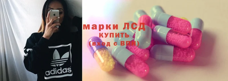 ЛСД экстази ecstasy  Заозёрск 